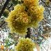 Profile Picture of Hàn Quốc (@Hanquocdinh) on Pinterest