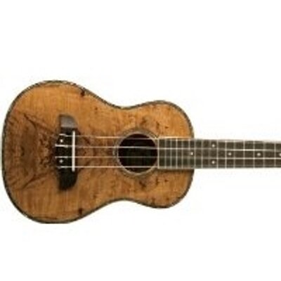 Profile Picture of Richard Bertrand (@ukulelesongsric) on Twitter
