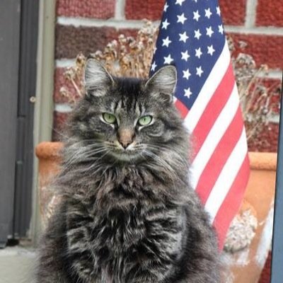 Profile Picture of Jamie Slaughter (@08Jamie08) on Twitter