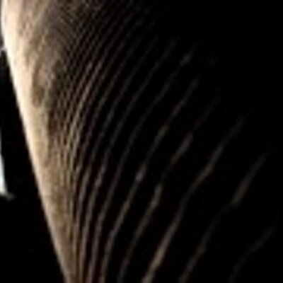 Profile Picture of Grace McCarthy (@Jared2914) on Twitter