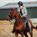 🐴Sara Malpass🐴 - Instagram Profile Picture of 🐴Sara Malpass🐴 (@sm.dressage) on Instagram