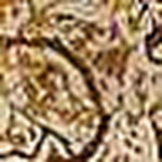 Profile Picture of victor raul manzano garcia (@vraulmanzano) on Flickr