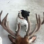 Profile Picture of Alexander Hart (@alexanderhart007) on Instagram