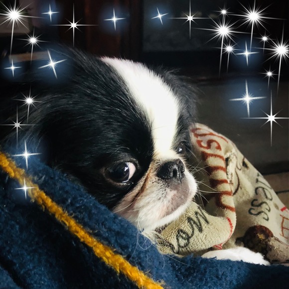 Profile Picture of Jim Bergerson (@vin6942) on Poshmark