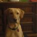 Profile Picture of Stephen Knopf (@Stephen-Knopf) on Facebook