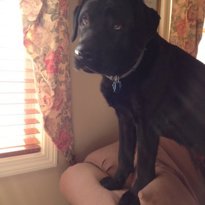 Profile Picture of Deb Owens (@debowens32) on Twitter