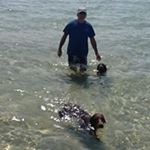 Profile Picture of Lynn Marshall (@lynnmarshall2021) on Instagram