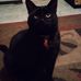 Profile Picture of Baal Hardison (@Baal-Hardison) on Facebook