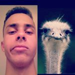 Alex Ferrando - Instagram Profile Picture of Alex Ferrando (@alexferrando212) on Instagram