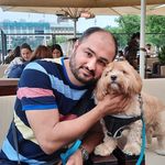 Profile Picture of Ali Gharavizadeh (@aligharavizadeh) on Instagram