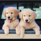 Profile Picture of Cheyenne Simpson (@cheyennesimpson581) on Youtube