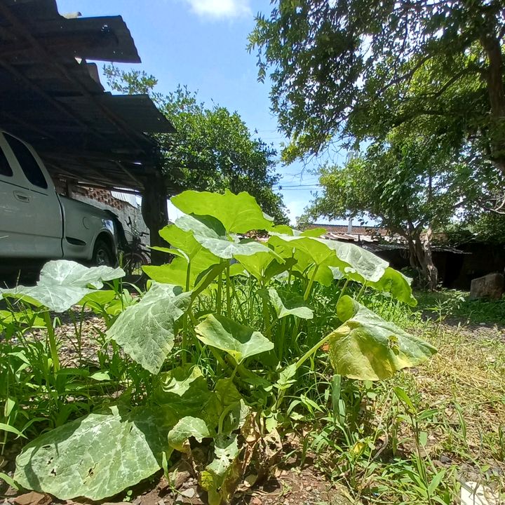 Profile Picture of Steven Patner (@steven.patner) on Tiktok