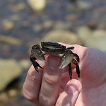 Profile Picture of Andrew Goodhart (@Andrew Goodhart) on Flickr