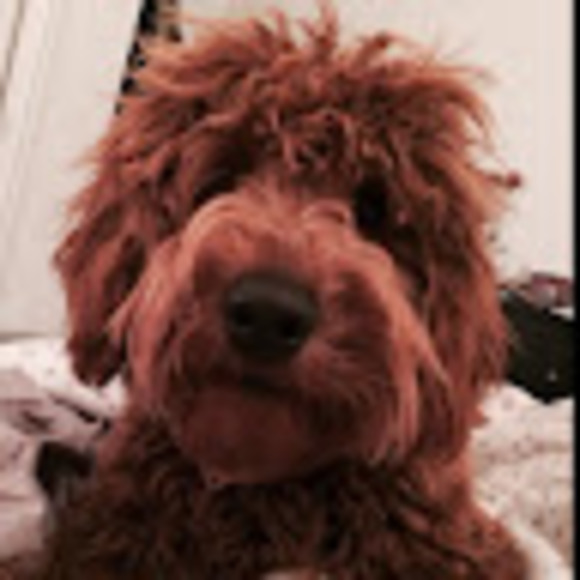 Profile Picture of Melissa Shamis (@melissashamis) on Poshmark