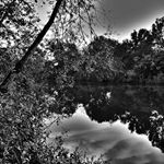 Profile Picture of Brady Everhart (@bradyeverhart) on Instagram