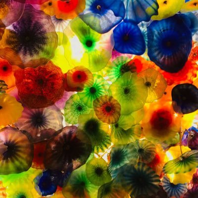 Profile Picture of Jake Henn (@henn_jake) on Twitter