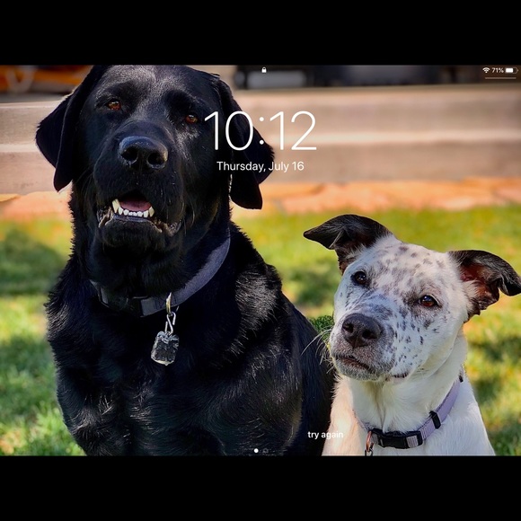 Profile Picture of Barrett Walker (@barrett0908) on Poshmark