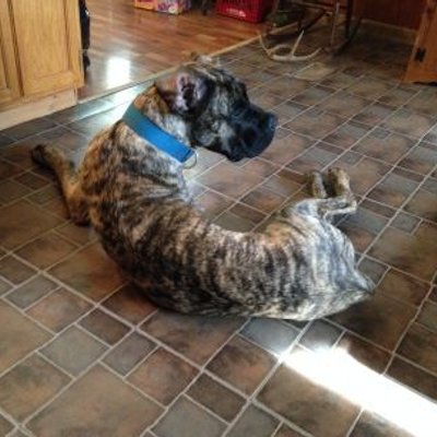 Profile Picture of Rodney Weaver (@RodneyWeaver420) on Twitter