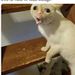 Profile Picture of Stephen Leblanc (@22lebste) on Pinterest