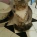 Profile Picture of Wanda Neubert (@wanda.neubert.5) on Facebook