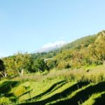 Profile Picture of Miguel Lazcano (@miguel.lazcano.984) on Instagram