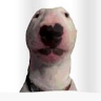 Profile Picture of David Farfan (@david-farfan-7) on Quora