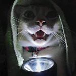 Profile Picture of gary olivera (@garyoliv) on Instagram