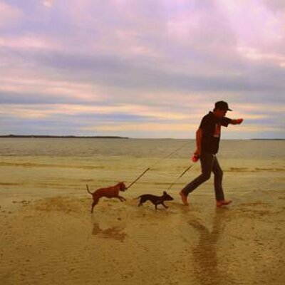 Profile Picture of Caleb Hendry (@CalebAHendry) on Twitter
