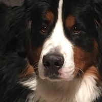 Profile Picture of Chad Pelletier (@chad-pelletier) on Quora