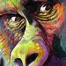 Profile Picture of Andrew McNew (@andrewmcnew) on Pinterest