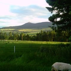 Peter Brothers - Twitter Profile Picture of Peter Brothers (@BroFarming) on Twitter