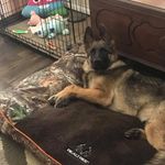 Lisa Hairhoger - Instagram Profile Picture of Lisa Hairhoger (@hairhoger) on Instagram