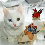 Profile Picture of Nicholas (@nicholaskranzjb2) on Instagram