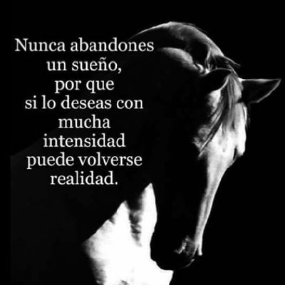 Profile Picture of Alex Cadavid (@alexcadavid8) on Twitter