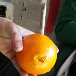 Profile Picture of ALEX Y YERAY (@valladoweed_) on Instagram