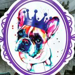 Profile Picture of Veterinaria Puppy King (@veterinariapuppyking) on Instagram