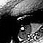 Profile Picture of Sharika Grundlingh (@shari grun) on Flickr