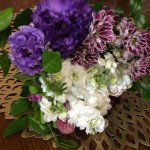 Debbie's Pallet - Instagram Profile Picture of Debbie's Pallet (@debbies_pallet) on Instagram