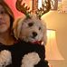 Profile Picture of Rosa Umanzor (@rosa.umanzor.946) on Facebook
