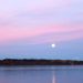 Profile Picture of Louise Hendricks (@louhendricks) on Pinterest