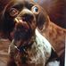 Profile Picture of Mark Grimmer (@mark.grimmer.982) on Facebook