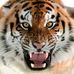 Profile Picture of Richard Larick (@richard.larick.73) on Facebook