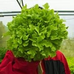 Profile Picture of César A. Naranjo Díaz (@cesar.naranjo.diaz) on Instagram