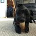 Profile Picture of Marc Mckay (@marc.mckay.161) on Facebook