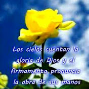 Profile Picture of Jose Lamela (@joselamela2460) on Youtube