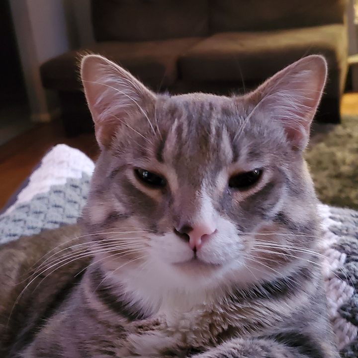 Profile Picture of Jennifer Boulter (@@jennjenn250) on Tiktok