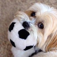 Profile Picture of Philip Gibbon (@philip-gibbon-1) on Quora