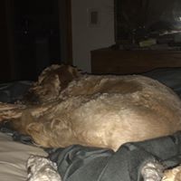 Profile Picture of Jason Polley (@jason-polley-1) on Quora