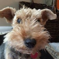 Profile Picture of Mitchell Marder (@mitchell-marder) on Quora