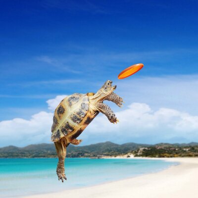 Profile Picture of Matthew McClune (@ritzclan52500) on Twitter